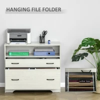 Vinsetto Lateral File Cabinet with Shelf, Office Storage Cabinet with 2 Drawers, Fits Letter Sized Papers, Grey(m-5)