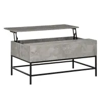 HOMCOM Modern Lift Top Coffee Table with Hidden Storage Compartment and Metal Legs, for Living Room, Home Office, Grey(m-1)