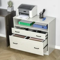 Vinsetto Lateral File Cabinet with Shelf, Office Storage Cabinet with 2 Drawers, Fits Letter Sized Papers, Grey(m-2)