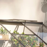 Outsunny 6' x 4' Aluminum Greenhouse Polystyrene Walk-in Garden Greenhouse with Adjustable Roof Vent and Lockable Door, Clear(m-10)