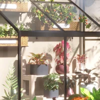 Outsunny 6' x 4' Aluminum Greenhouse Polystyrene Walk-in Garden Greenhouse with Adjustable Roof Vent and Lockable Door, Clear(m-9)