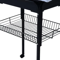 PawHut 60" Rolling Bird Cage Cockatoo House Play Top Finch Pet Supply with Wheels Black(m-7)