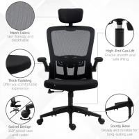Vinsetto High Back Mesh Chair, Home Office Task Computer Chair with Adjustable Height, Lumbar Back Support, Headrest, and Arms, Black(m-9)