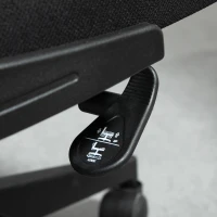 Vinsetto High Back Mesh Chair, Home Office Task Computer Chair with Adjustable Height, Lumbar Back Support, Headrest, and Arms, Black(m-13)