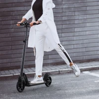 Soozier Kick Scooter Folding Adjustable Ride On Toy w/ Dual Braking System, Rear Shock Absorption and 8" Big Wheels For 14+ Teens Adult, Black(m-1)