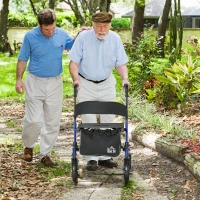 HOMCOM Rollator Walker for Seniors and Adults with 8'' Wheels, Seat, Aluminium Lightweight Folding Rolling Walker with Adjustable Handle, Storage Bag, Dual Brake, Blue(m-1)