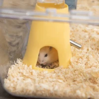 PawHut Hamster Cage, 2-Level Small Animal Habitat with Accessories Tube Tunnels, Exercise Wheel, Water Bottle, Food Dish, Hut, 22" x 15" x 12.5", Clear(m-10)