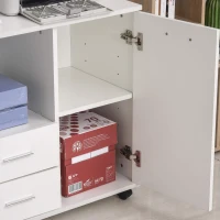 Vinsetto Multifunction Office Filing Cabinet Printer Stand with 2 Drawers, 2 Shelves, & Smooth Counter Surface, White(m-15)