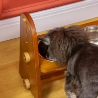 PawHut Elevated Dog Bowls Adjustable Pet Feeder Raised Dog Bowl with 2 Removable Stainless Steel Bowls for S, M, L, XL  Dogs, Brown(m-9)