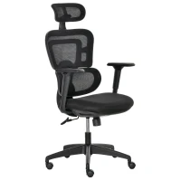 Vinsetto 300 lbs Mesh Office Chair, Ergonomic High Back Swivel Desk Chair with Adjustable Height, Armrest, Lumbar Support and Headrest, Black(m-2)