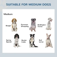 PawHut 17" Double Stainless Steel Heavy Duty Dog Food Bowl Elevated Pet Feeding Station(m-7)