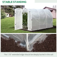 Outsunny 9.85'L x 6.6'W x 6.6'H Polytunnel Greenhouse Outdoor Walk-In Greenhouse, Transparent(m-5)