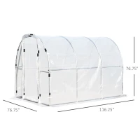 Outsunny 9.85'L x 6.6'W x 6.6'H Polytunnel Greenhouse Outdoor Walk-In Greenhouse, Transparent(m-3)