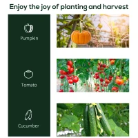 Outsunny 40"L x 20"W x 59"H Walk-in Garden Greenhouse with Durable Steel Frame Outdoor Hot House Tomato Plant Warm House w/ Roll up Door, PVC Cover, Clear(m-6)