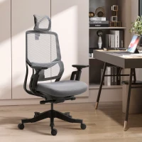 Vinsetto High Back Ergonomic Mesh Office Chair with Adjustable Height, Armrests, Lumbar Support and Headrest, Grey/Black(m-10)
