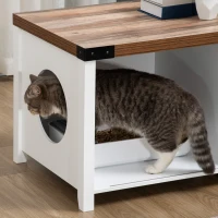 PawHut Cat Litter Box Enclosure with Sliding Door, Cat Washroom Storage Bench with Cat Hole, Indoor Cat House End Table with Sturdy Wooden Structure, White(m-10)