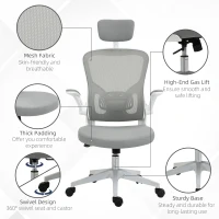 Vinsetto High Back Mesh Chair, Home Office Task Computer Chair with Adjustable Height, Lumbar Back Support, Headrest, and Arms, Gray(m-9)