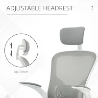 Vinsetto High Back Mesh Chair, Home Office Task Computer Chair with Adjustable Height, Lumbar Back Support, Headrest, and Arms, Gray(m-8)