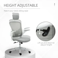 Vinsetto High Back Mesh Chair, Home Office Task Computer Chair with Adjustable Height, Lumbar Back Support, Headrest, and Arms, Gray(m-4)