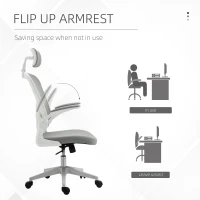 Vinsetto High Back Mesh Chair, Home Office Task Computer Chair with Adjustable Height, Lumbar Back Support, Headrest, and Arms, Gray(m-6)