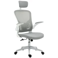 Vinsetto High Back Mesh Chair, Home Office Task Computer Chair with Adjustable Height, Lumbar Back Support, Headrest, and Arms, Gray(m-1)