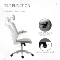 Vinsetto High Back Mesh Chair, Home Office Task Computer Chair with Adjustable Height, Lumbar Back Support, Headrest, and Arms, Gray(m-5)