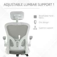 Vinsetto High Back Mesh Chair, Home Office Task Computer Chair with Adjustable Height, Lumbar Back Support, Headrest, and Arms, Gray(m-7)