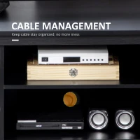 HOMCOM TV Cabinet, Farmhouse TV Stand for 55 Inch TV, Entertainment Center with Adjustable Shelves and Doors for Living Room, Black(m-6)