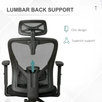 Vinsetto High Back Ergonomic Computer Home Office Chair, Mesh Task Chair with Lumbar Back Support, Reclining Function, Adjustable Headrest, Arms and Height, Black(m-7)