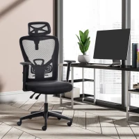 Vinsetto High Back Ergonomic Computer Home Office Chair, Mesh Task Chair with Lumbar Back Support, Reclining Function, Adjustable Headrest, Arms and Height, Black(m-11)