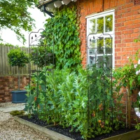 Outsunny 2 Pack Garden Trellis for Climbing Plants, Outdoor Metal Grid Panels with Birds and Leaves, for Roses, Vine Flower, Cucumber, Clematis, 59" Tall(m-1)