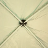 Outsunny 10'x10' Outdoor Pop Up Party Tent Gazebo Canopy with Carrying Bag (Green)(m-7)