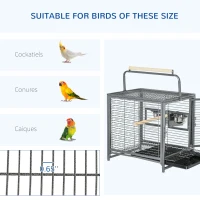 PawHut 18" Parrot Travel Carrier, Heavy Duty Wrought Iron Travel Bird Cage Carrier With Handle Perch And Accessories, Black(m-7)