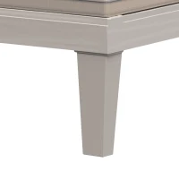 Outsunny Patio Chaise Lounge Chair with 5-Level Adjustable Back Cushion Outdoor Garden Poolside(m-9)