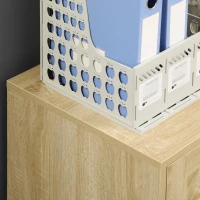 Vinsetto Farmhouse Vertical Filing Cabinet, 2 Drawers File Cabinet with Hanging Bars for Letter and A4 Size, Rolling Printer Stand for Home Office, Natural(m-9)