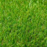 Outsunny 10' x 3' Artificial Turf Grass with Simulated Look & Feel UV Protection, & Drain Holes for Rain, 1.25" Height(m-8)