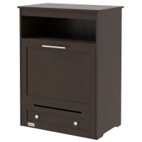 PawHut Pet Feeder Station Storage Cabinet, Dog Food Storage Container with Dog Raised Bowls, Watering Supplies, Gray(m-1)