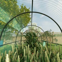 Outsunny Polytunnel Greenhouse Walk-in Grow House with Plasric Cover, Door, Mesh Window and Steel Frame, 6.6' x 10' x 6.6'(m-10)