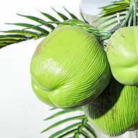 Outsunny 7' Artificial Light Up Palm Tree Lighted Tropical Fake Tree with Remote 280 Lights 5 Coconuts for Outdoor Indoor Green(m-9)