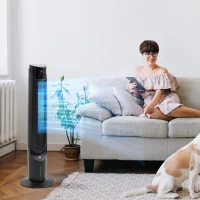 HOMCOM Cooling Fan for Bedroom with Ice Pack, Tower Fan with Remote Control, 3 Modes, 3 Speeds, 3 Speeds, 12H Timer, Black(m-1)