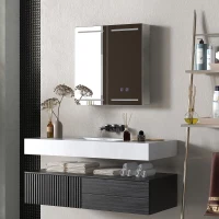HOMCOM Illuminated Medicine Cabinet with Mirror, LED Vanity Mirror Cabinet with Defogging Film, Stainless Steel Frame(m-10)