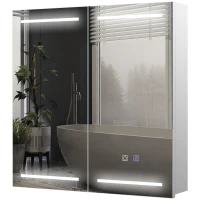 HOMCOM Illuminated Medicine Cabinet with Mirror, LED Vanity Mirror Cabinet with Defogging Film, Stainless Steel Frame(m-2)