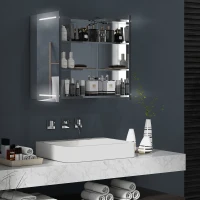 HOMCOM Illuminated Medicine Cabinet with Mirror, LED Vanity Mirror Cabinet with Defogging Film, Stainless Steel Frame(m-1)