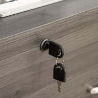 Vinsetto 2 Drawer File Cabinet with Lock, Office Filing Cabinet, Hanging Bar for Letter Size, Home Office, Grey(m-9)