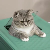 PawHut Fully Enclosed Cat Litter Box with Front Entry and Top Exit, Plastic, Green & White(m-8)