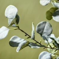 HOMCOM 5ft Artificial Tree, Indoor Fake Eucalyptus with White Tender Tips and Pot, for Home, Office, and Living Room Decor(m-9)