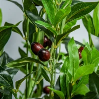 HOMCOM 4FT Artificial Olive Tree, Faux Decorative Plant in Nursery Pot for Indoor or   Décor, Green(m-10)