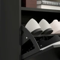 HOMCOM Wall Mounted or Freestanding Shoe Storage Cabinet with LED Light and 2 Flip Drawers for 12-16 Pairs of Shoes(m-10)