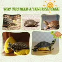 PawHut Wooden Tortoise Enclosure with Two Room Design, for Indoor Use, 37" x 25" x 13", Nature Wood(m-9)