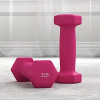 Soozier 2 x 2 lbs., 2 x 3 lbs., 2 x 5 lbs. Dumbbells Set with Dumbbell Rack, Hand Weights for Home Gym Training(m-7)